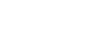  VISION